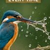 How to Take Sharp Photos Every Time - indranews.com
