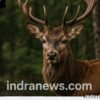 How to Capture Fast-Moving Subjects - indranews.com