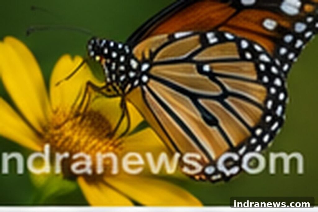 Best Camera Settings for Wildlife Photography - indranews.com