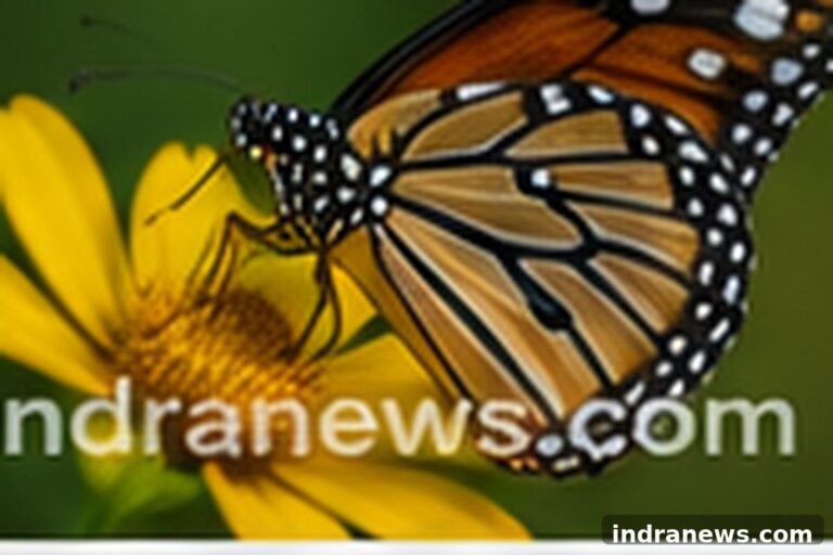 Best Camera Settings for Wildlife Photography - indranews.com