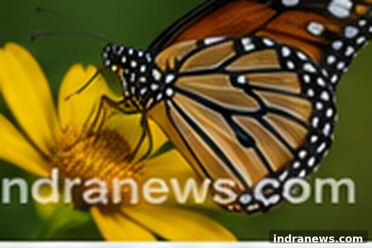 Best Camera Settings for Wildlife Photography - indranews.com