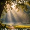 How to Photograph Birds in Flight - indranews.com
