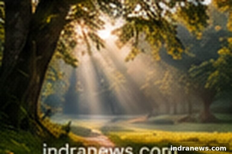 How to Photograph Birds in Flight - indranews.com