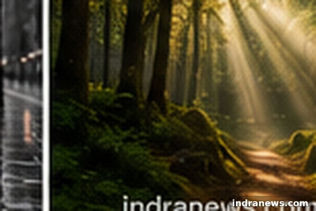 Nature Photography Tips for Stunning Outdoor Photos - indranews.com