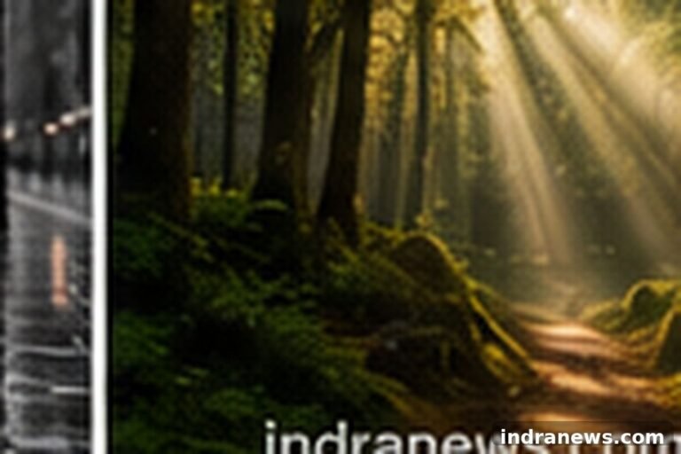 Nature Photography Tips for Stunning Outdoor Photos - indranews.com
