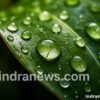 Macro Photography Tips for Beginners - indranews.com