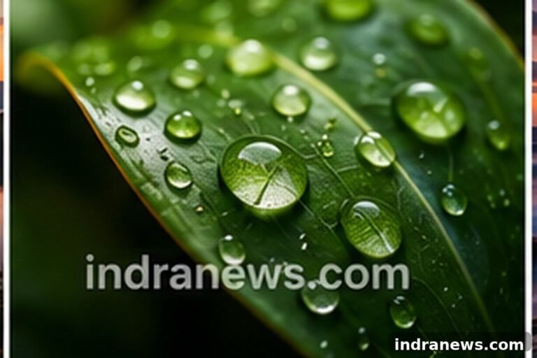 Macro Photography Tips for Beginners - indranews.com