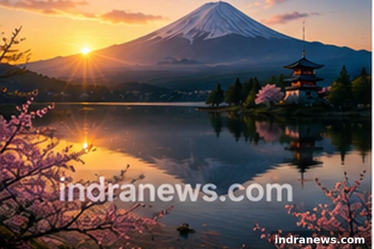 How to Build a Professional Photography Portfolio - indranews.com