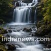 Photography Business Ideas for Beginners - indranews.com
