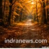 How to Use Social Media to Grow Your Photography Brand - indranews.com