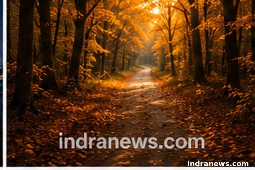 How to Use Social Media to Grow Your Photography Brand - indranews.com