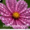 Photoshop Tips Every Photographer Should Know - indranews.com