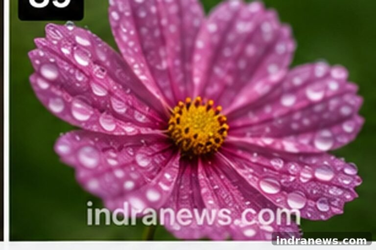 Photoshop Tips Every Photographer Should Know - indranews.com